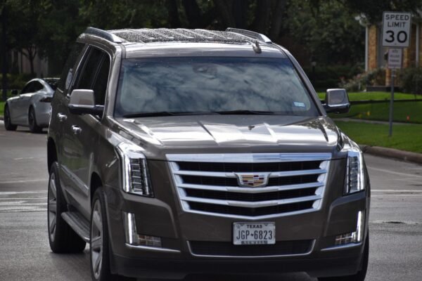 SUVS